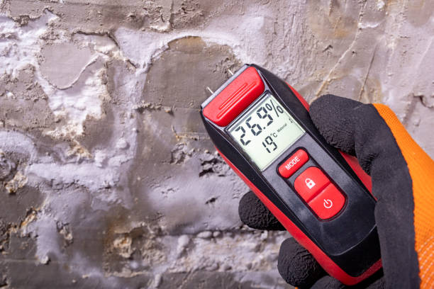 Best Local Mold Removal Service  in Stoneville, NC