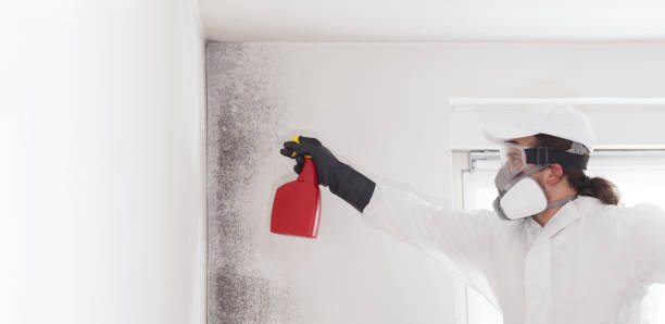 Mold Testing and Removal in Stoneville, NC